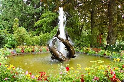 Fountain Fish Sculpture Fountains Gardens Butchart Water