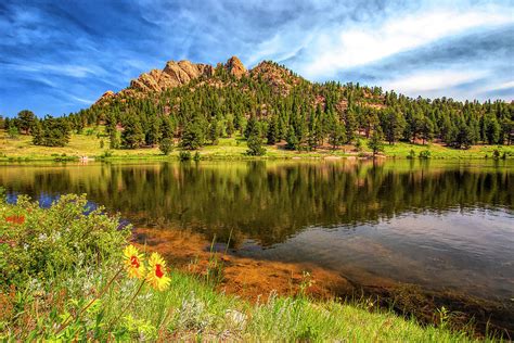 Lily Lake Reflection Near Estes Park Colorado Photograph