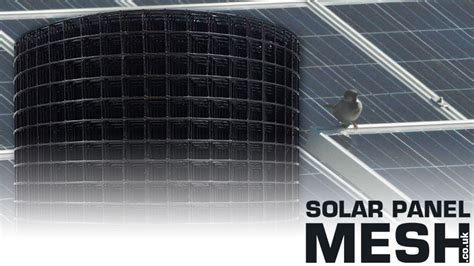 Solar Mesh Pvc Coated 30m Solar Panel Bird Control Mesh Proofing