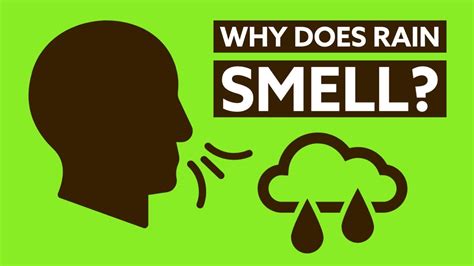 Petrichor The Science Behind The Smell Of Rain Youtube