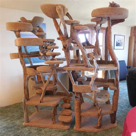 Custom Driftwood Cat Tree Cat Furniture Diy Cat Furniture Cat House Diy
