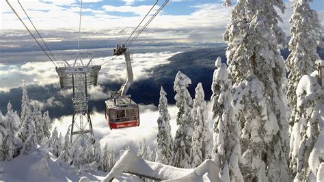 Grouse Mountain To Require Proof Of Vaccination For 202122 Winter