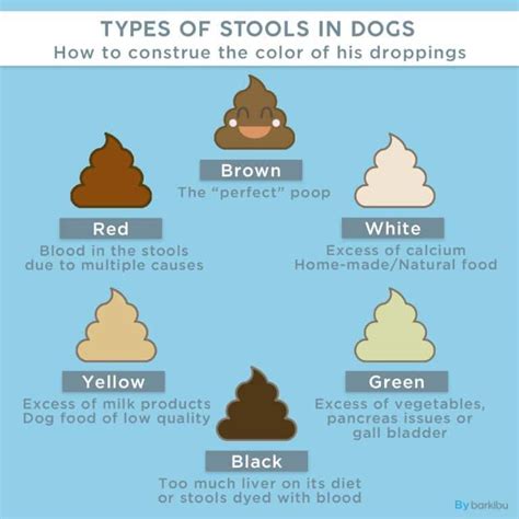 Dog Poop Color Chart Find Out What Each Color Means Stool Quality