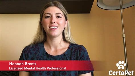 Emotional support animal registration or emotional support animal certification is not real or legitimate. Need an Emotional Support Animal Letter? | Get Started ...