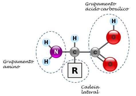 Hidrogênio Reage Com Nitrogênio Formando