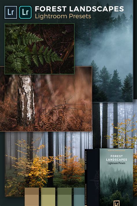 Lightroom Presets For Forest Photography Desktop And Mobile