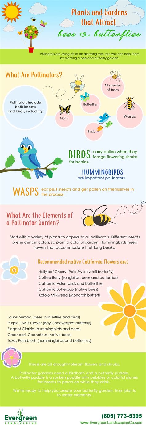 Plants And Gardens That Attract Bees And Butterflies Infographic