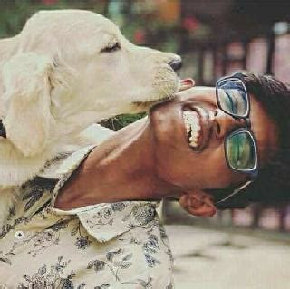 We are providing pet care services in hyderabad, gachibowli for your favorite pets. Dog Hotel Home Pet Boarding in Hyderabad, Hyderabad | We ...