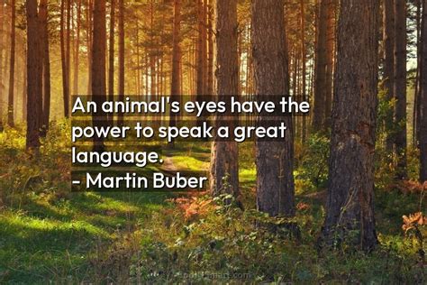Quote An Animals Eyes Have The Power To Speak A Great Language