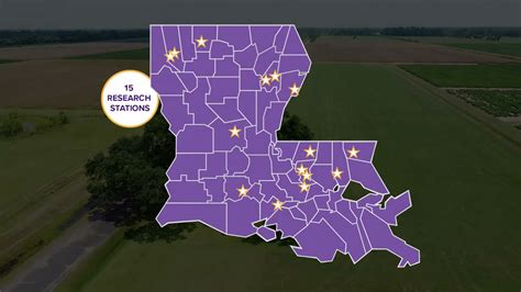 LSU AgCenter Research Stations YouTube