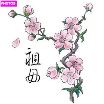 We did not find results for: Cherry Blossom Tree Drawing Easy at GetDrawings | Free ...