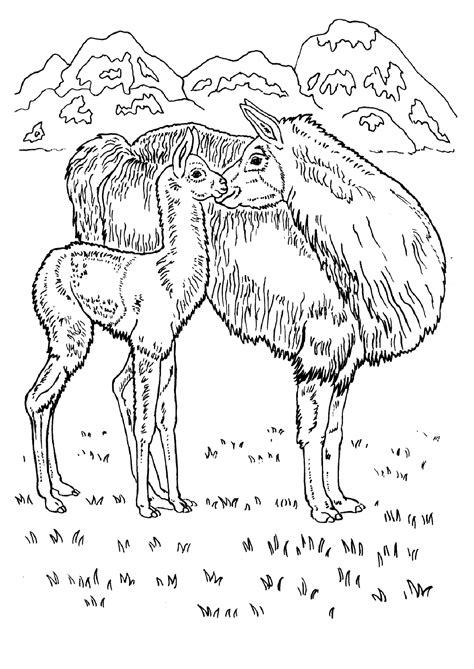Showing 12 coloring pages related to llama head. Lama Coloring Pages to download and print for free