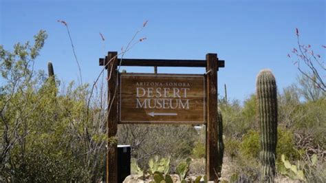 Arizona Sonora Desert Museum Tucson Az Tucsonan