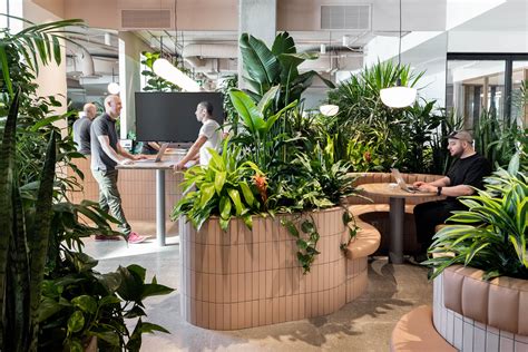 A Stunning Biophilic Masterpiece For Zendesk In Montreal We Were