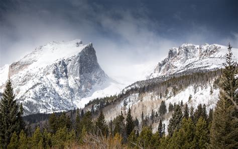 Wallpaper Landscape Forest Mountains Nature Snow Winter