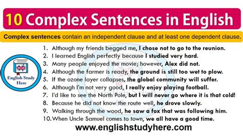 10 Complex Sentences In English Scuola Inglese