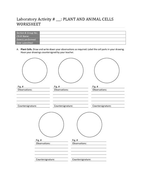 Maybe you would like to learn more about one of these? Other Worksheet Category Page 1399 - worksheeto.com