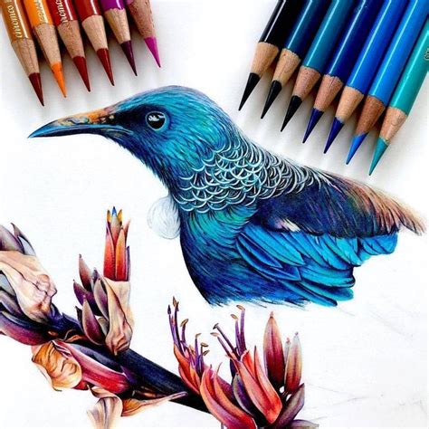 Colour Pencil Drawing Ideas 40 Creative And Simple Color Pencil Drawings Ideas Bodewasude