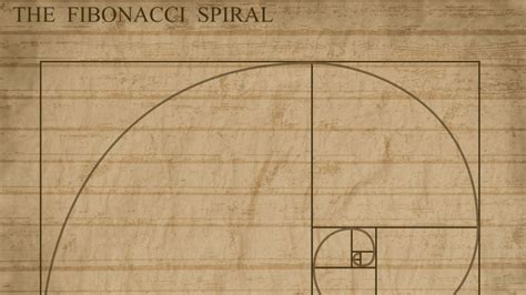 Fibonacci Day Cosè E Perché Si Celebra Il 23 Novembre