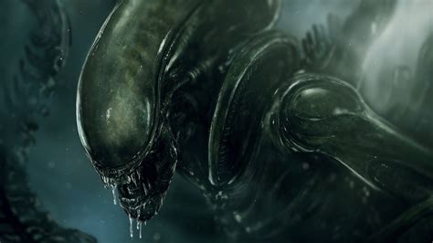 Free Download Alien Movie Xenomorph Wallpapers Hd Desktop And