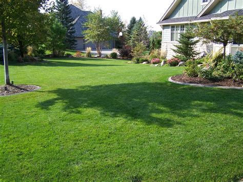 Spring Lawn Care 5 Tips For A Beautiful Summer Lawn Great Goats
