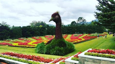 taman bunga bogor beautiful garden in indonesia