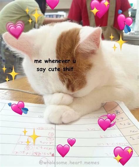 Tag Someone Special T A G S Wholesome Wholesomememe Hearts Love Meme
