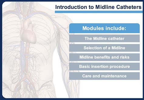 Courses Like An Introduction To Midline Catheters Will Hit Ava Academy