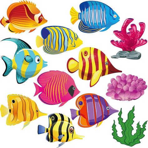 Buy 48 Pcs Fish Cutouts Paper Colorful Classroom Decoration Ocean Sea