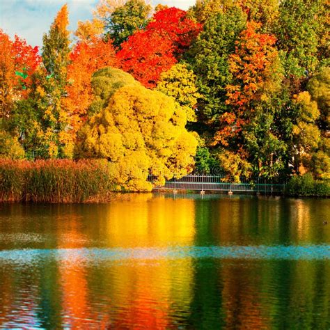 Beautiful Autumn Park With Colourful Leaves Trees And Lake Autumn