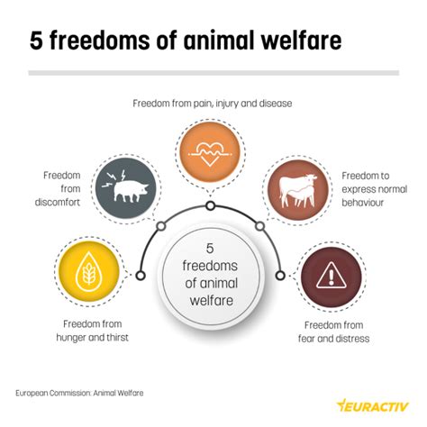 Animal Welfare In The Eu