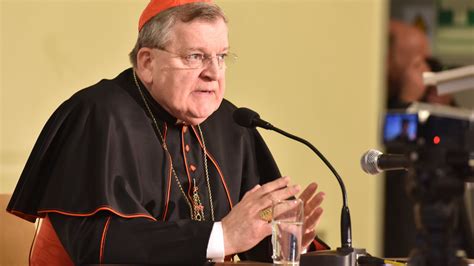 Kardinal Burke will Papst Franziskus korrigieren - kath.ch