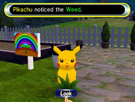 Pikachu Noticed The Weed Pokémon Know Your Meme