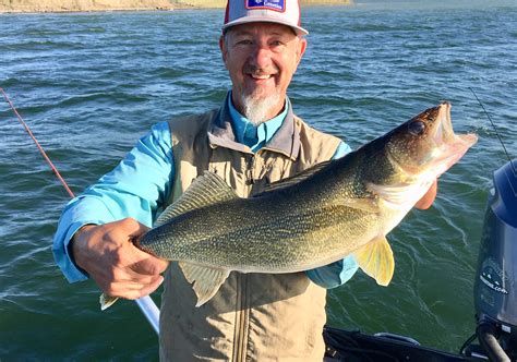 Glen Korf Of Tire Rama Catches Nice Fort Peck Walleye Montana Hunting