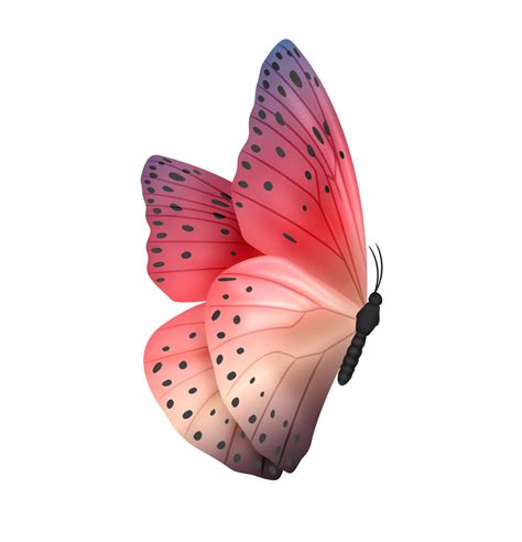 Soft Gradient Butterflies 299458 Illustrations Design Bundles