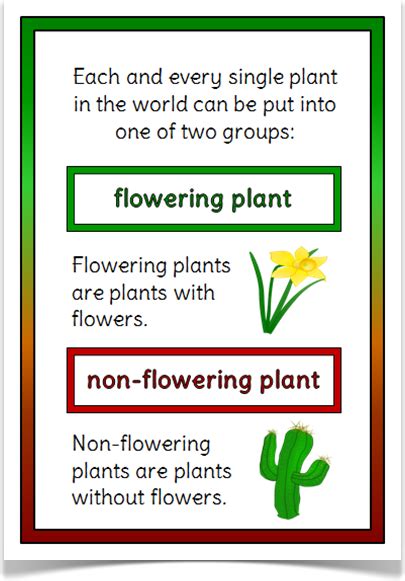 Native plants for georgia part i: Science Rocks! : Classifying Plants