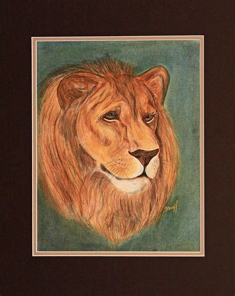 Lion Of Judah Drawing By Stephen Helton