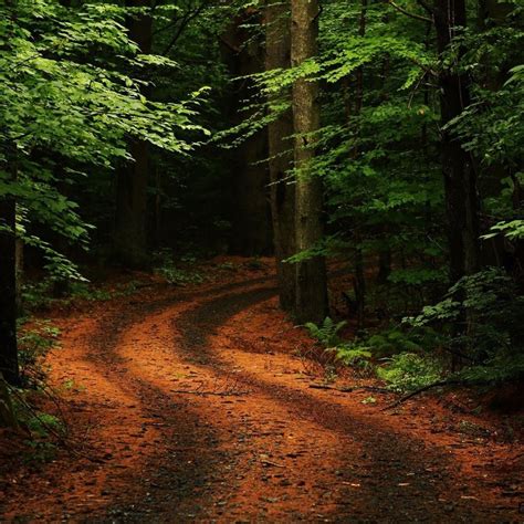 Bea and the sun by davic. 25 Summer iPad Wallpapers