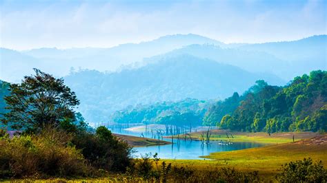 Hi/low, realfeel®, precip, radar, & everything you need to be ready for the day, commute, and weekend! Periyar National Park | Best time to visit | Things to do ...
