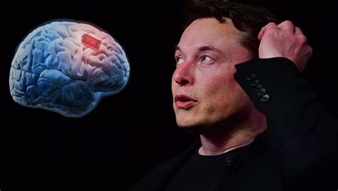 elon musk s neuralink will connect human brains directly to computers ratotechno the tech hub