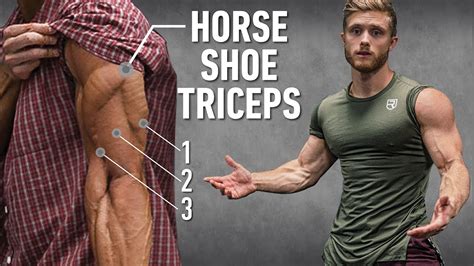 How To Grow Horseshoe Triceps By Changing Arm Positions Technique