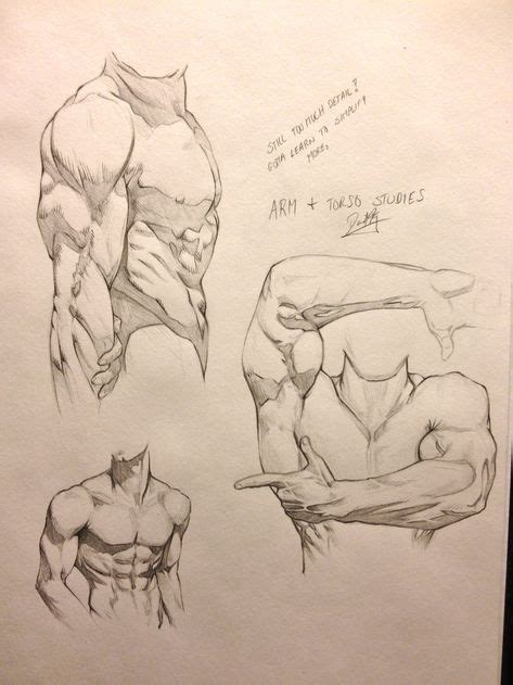 Imagen relacionada con imágenes Dibujo musculos Dibujos figura