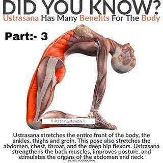 Whether you want workouts, poses or meditation, this list has it all! Deshraj Dagar (@itsyogasana) • Instagram photos and videos ...