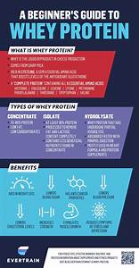 What Is Whey Protein Types Uses And Health Benefits
