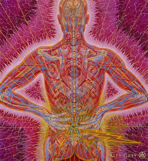 search alex grey grey art alex gray art