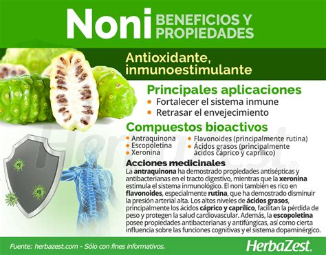 Beneficios Do Fruto Noni