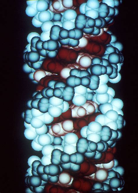 The strand has a 5′end (with a phosphate group) and a 3′end (with a hydroxyl group). How chemical components protected each other to create RNA ...