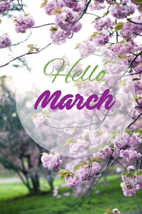 Hello March Hello March Images Hello March Quotes Hello January