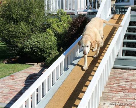 The Things We Do For Our Dogs Dog Ramp For Stairs Dog Ramp Pet Ramp
