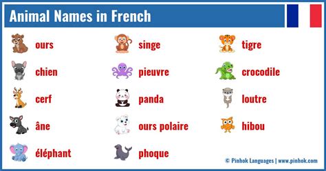 Animal Names In French